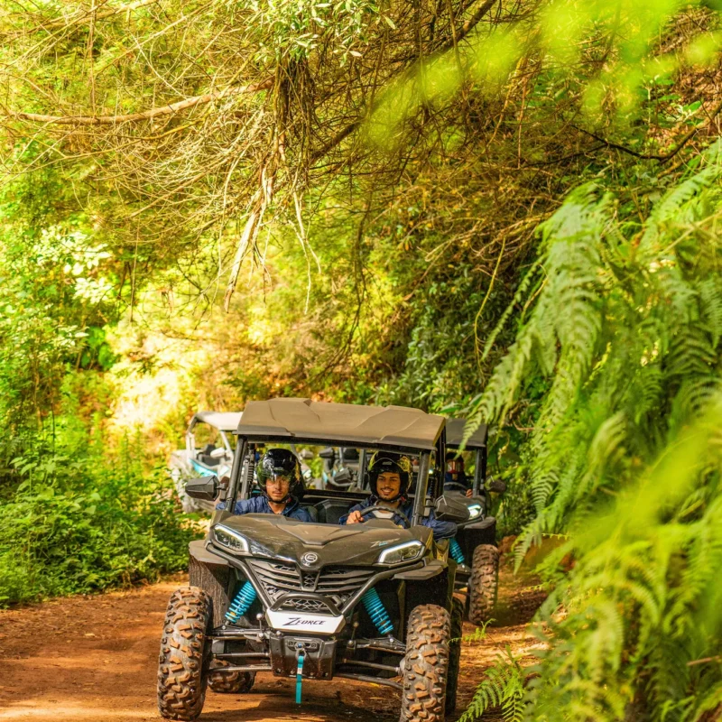 Buggy convoy driving a red-dirt trail under the forest canopy on the Funduras trail, Madeira