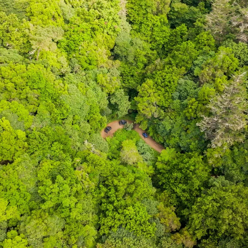 Aerial view of buggies at a forest clearing by a traditional house, with Machico valley and the coast beyond