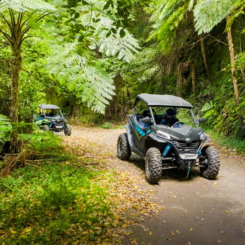 Aerial view of two buggies rounding a hairpin bend on a forest trail, Funduras, Madeira