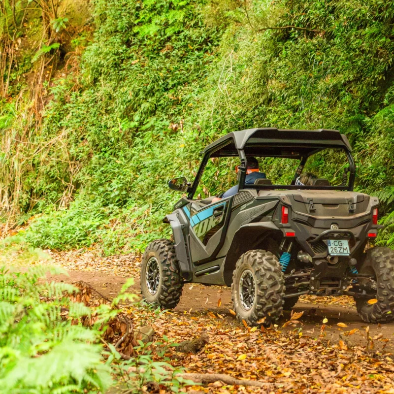 Buggy driving away down a fern-lined trail covered in fallen leaves, Funduras, Madeira